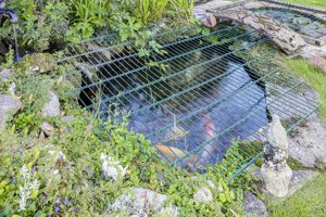 Photo 13- click for photo gallery